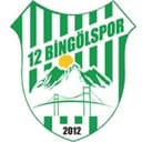 12 Bingölspor badge