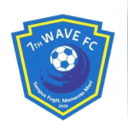 7th Wave badge