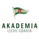 Akademia Piłkarska LG badge