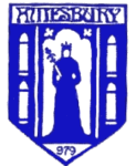 Amesbury Town badge