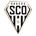 Angers badge