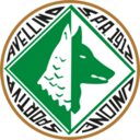 Avellino U19 badge
