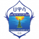 Awassa Kenema badge
