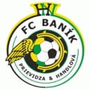 Baník Prievidza badge