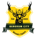 Berekum City badge