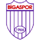 Bigaspor badge