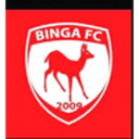 Binga badge