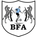 Black Lions badge