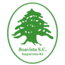 Boavista SC badge