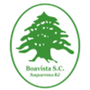 Boavista U20 badge