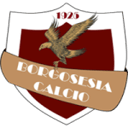Borgosesia badge