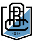 Branik badge