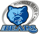 Broadbridge Heath badge