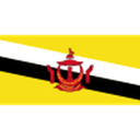 Brunei badge