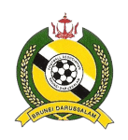 Brunei U19 badge