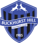 Buckhurst Hill badge