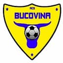 Bucovina Rădăuţi badge