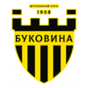 Bukovyna badge