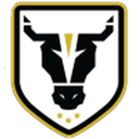 Bulls Academy badge
