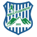 Bursa Yıldırımspor badge