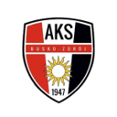 Busko-Zdroj badge