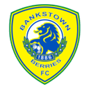 Canterbury Bankstown badge