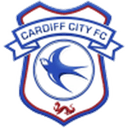 Cardiff badge