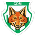 Acambaro badge