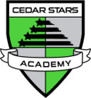 Cedar Stars W badge