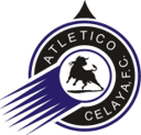 Celaya 2 badge