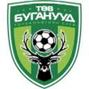 Central Stallions badge