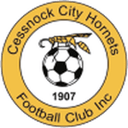 Cessnock City Hornets badge