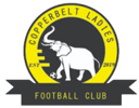 Copperbelt Ladies W badge