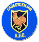 Croesyceiliog AFC badge