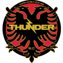 Dandenong Thunder badge
