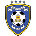 Defence Force badge