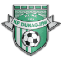 Dukagjini badge