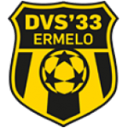 DVS 33 Ermelo badge