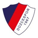 Düzcespor badge