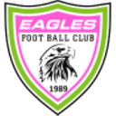 Eagles badge