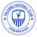 Falcons badge
