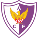 Fenix badge
