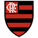 Flamengo U20 badge