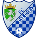 Făleşti badge