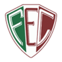 Fluminense PI badge