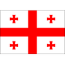 Georgia badge