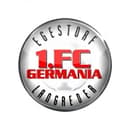 Germania Egestorf badge