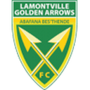 Golden Arrows badge