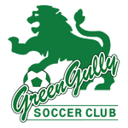 Green Gully badge