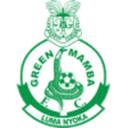Green Mamba badge